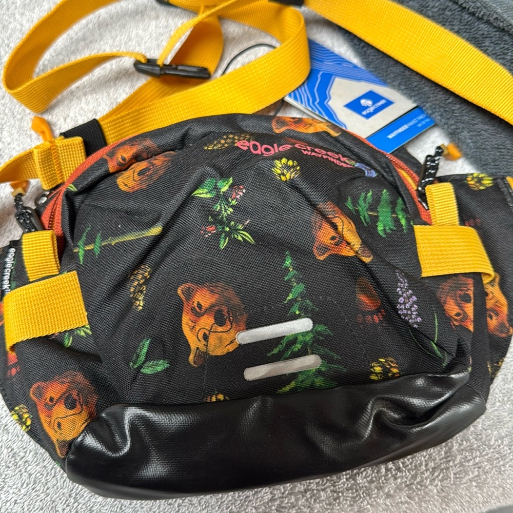 Eagle Creek waist pack